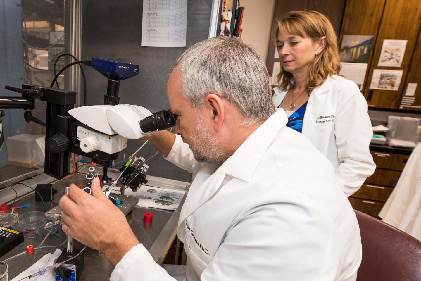 Clemens Inset, East Carolina University