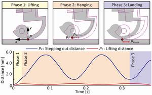 Explanation of walking movement.