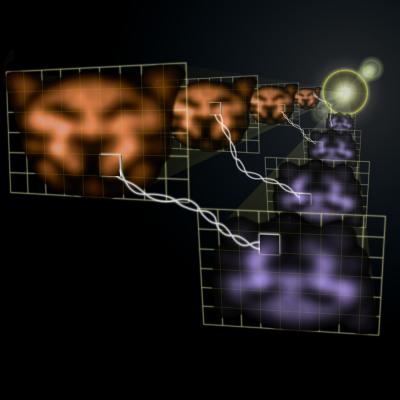 Quantum Images of a Cat