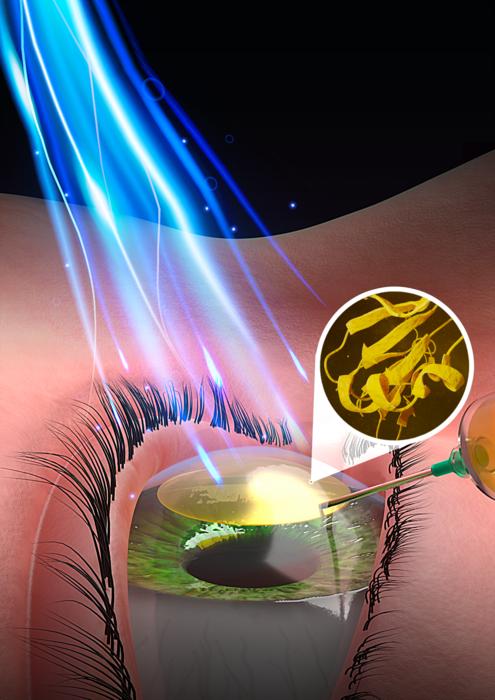 Healing power of light: University of Ottawa team advances clear vision for eye repair