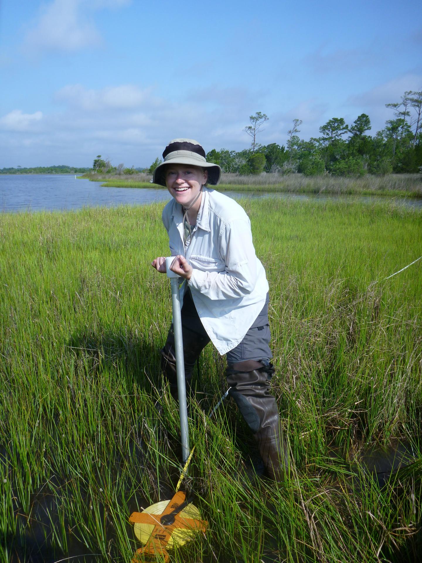 Wetland Assessment