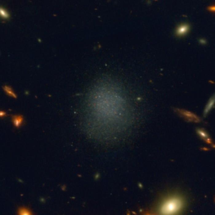 The dwarf galaxy, PEARLSDG