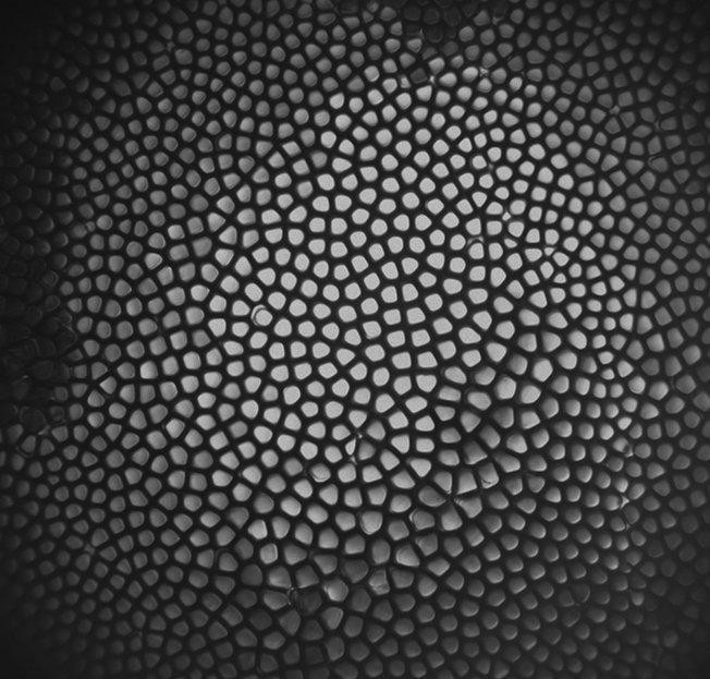 Pattern Interface in Space