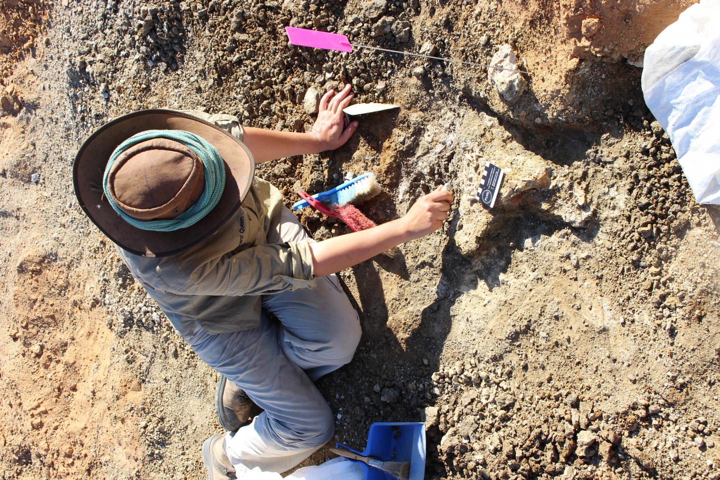 Tiny Fossil Bones from the Lake Pinpa Site