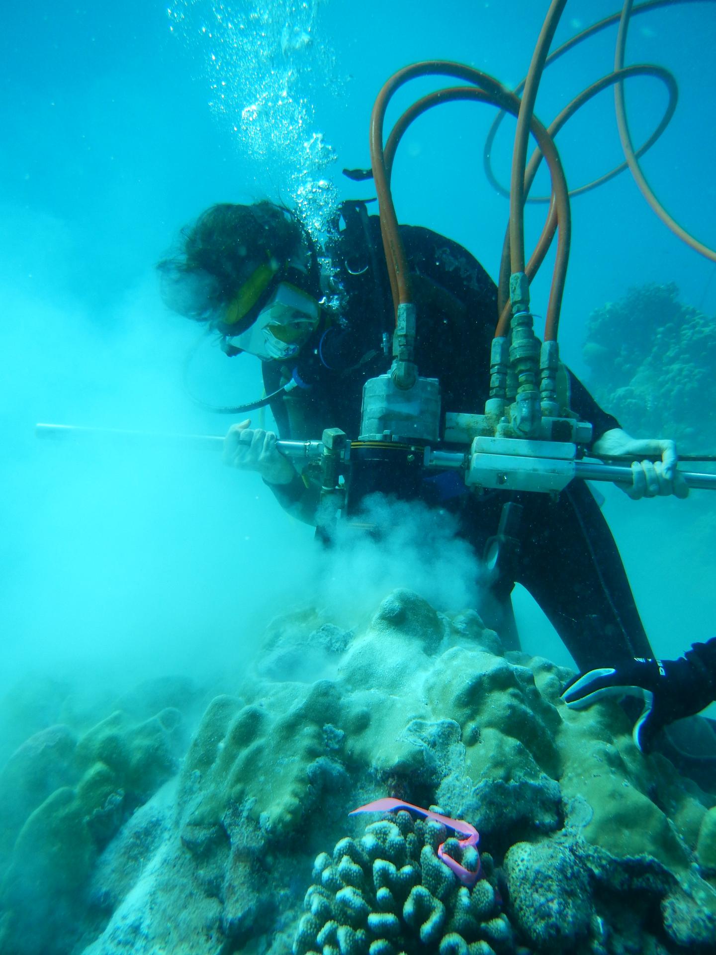 Kim Cobb drills into corals