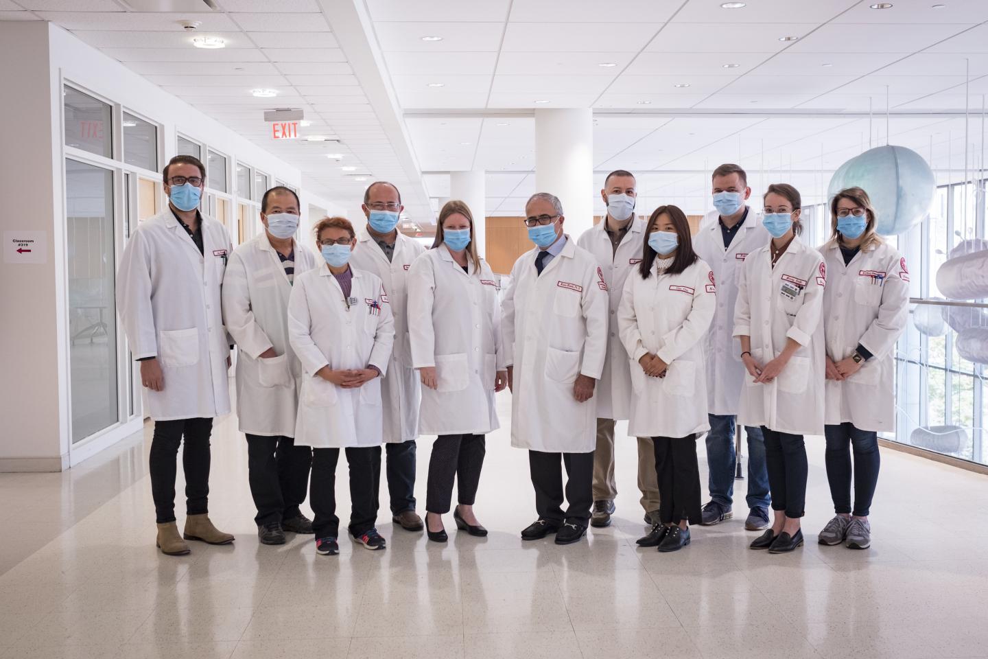 HIV-Like Virus Edited Out of Primate Genome