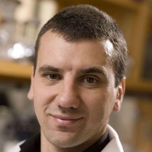 Marco Sardiello, Baylor College of Medicine