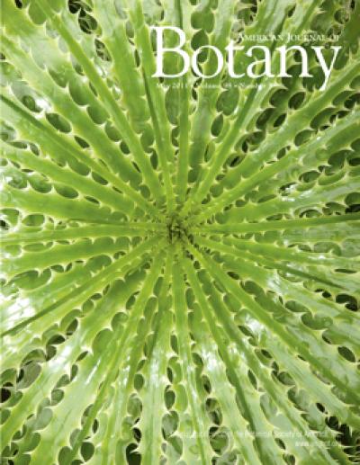 <I>American Journal of Botany</I>, May 2011