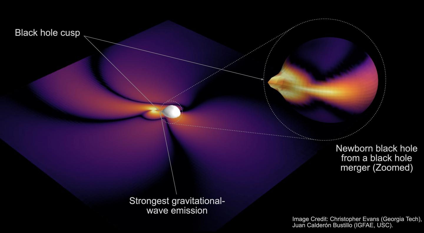 Black Hole Cusp