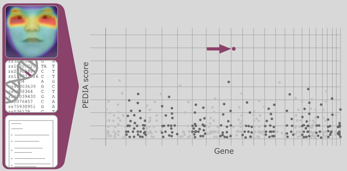 With Artificial Intelligence to a Diagnosis of Rare Hereditary Diseases