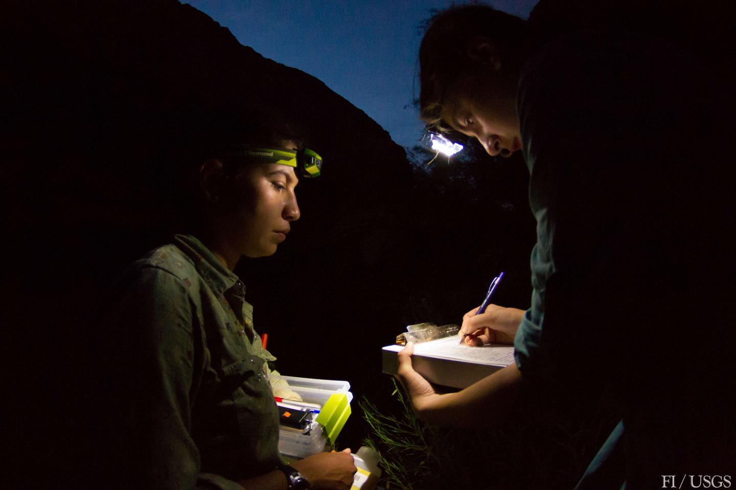 Grand Canyon Citizen Science