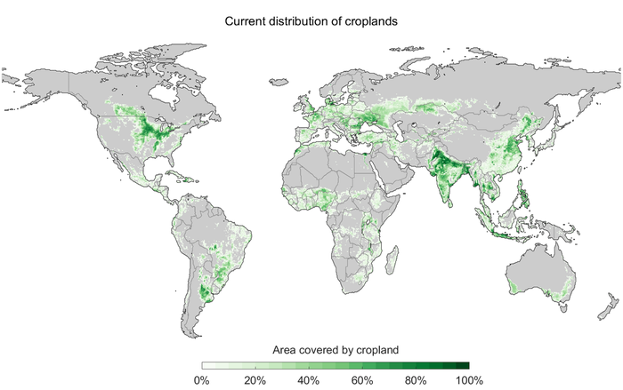 Current distribution of croplands