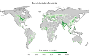 Current distribution of croplands