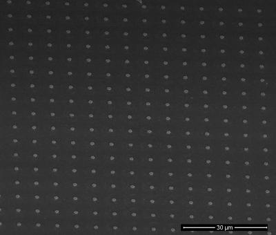 Islands on a Protective Film