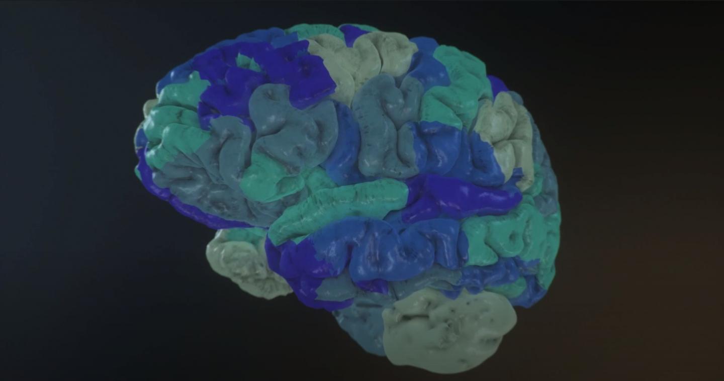 Virtual Brain Modeling
