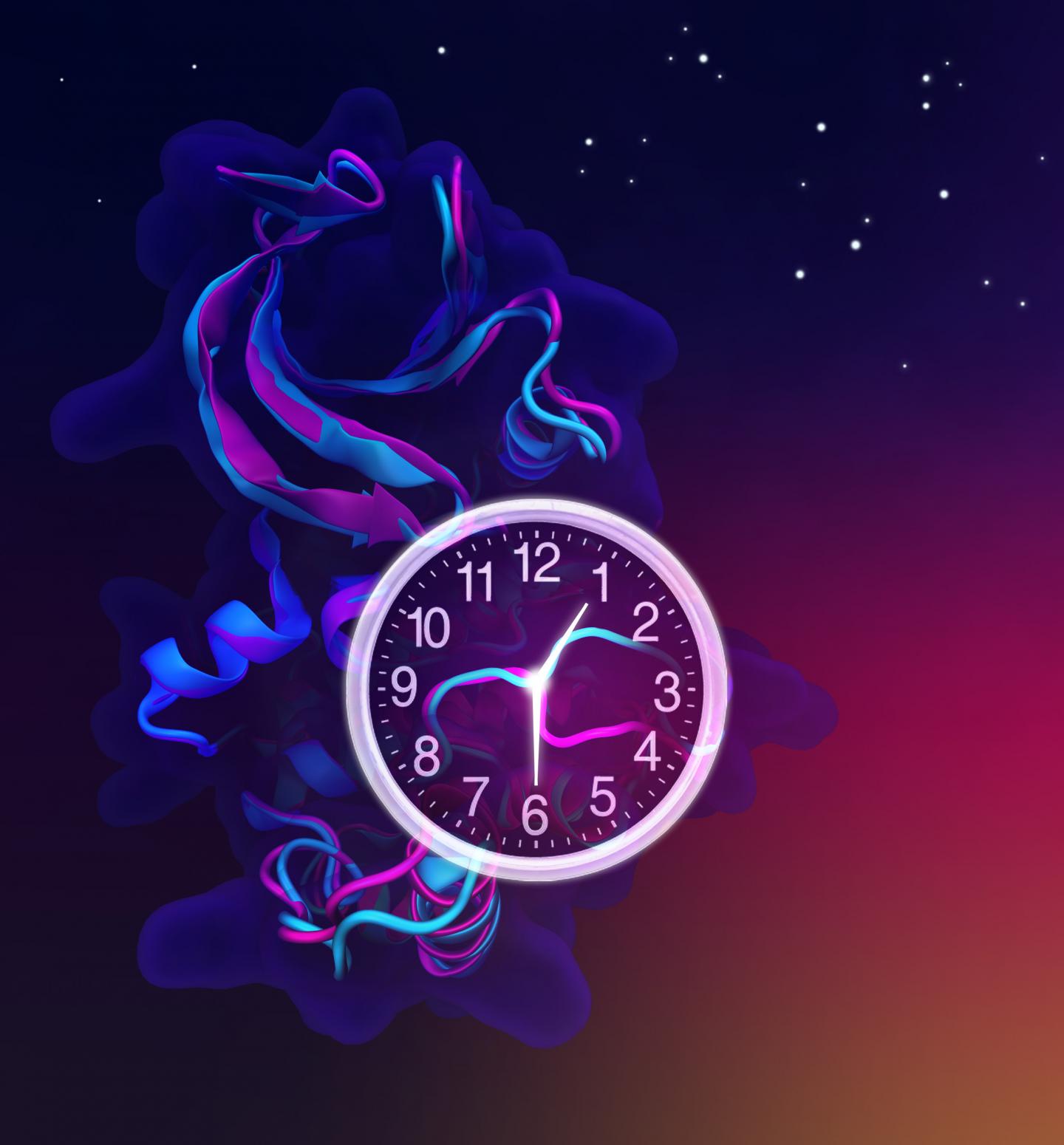 Illustration of Clock Kinase CK1