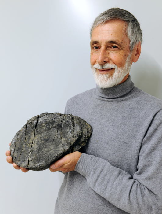 Ichthyosaur vertebrae