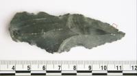 Stone Tool with Rhino Residue