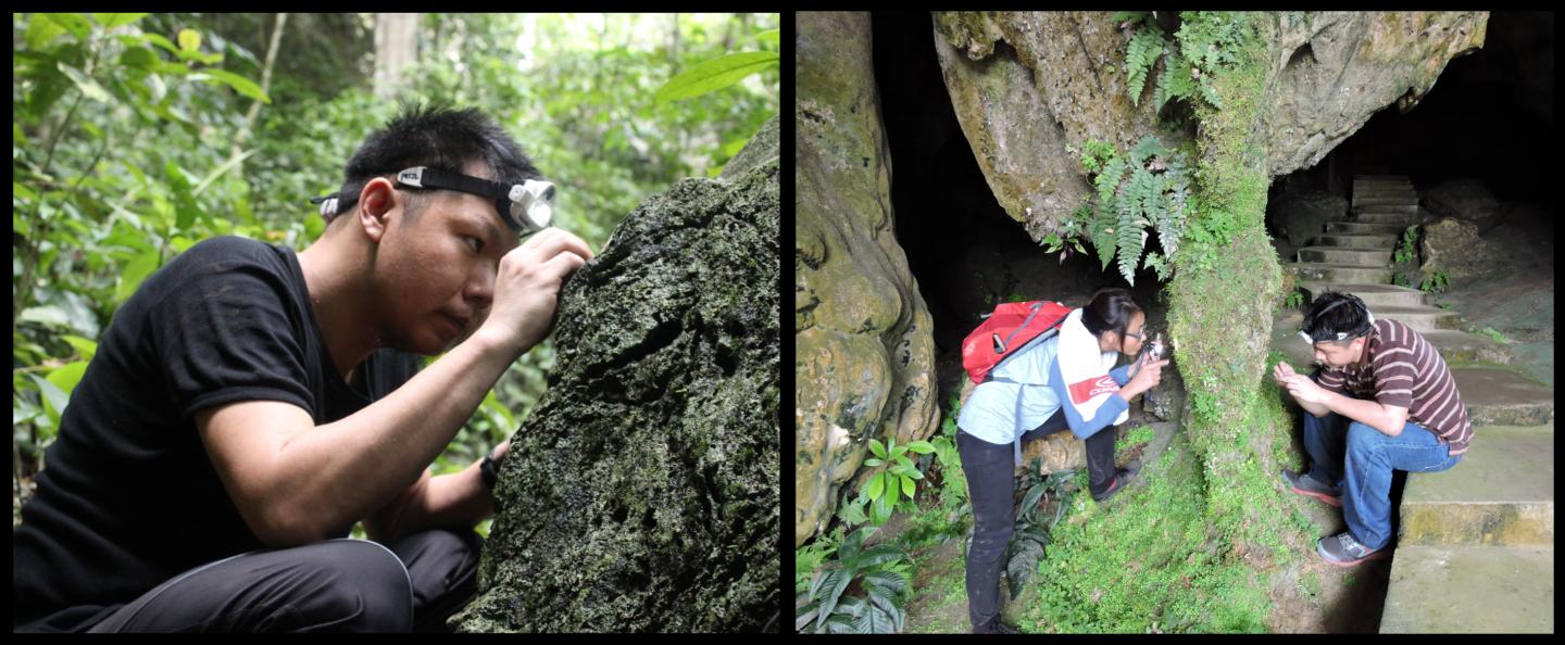 Collecting Land Snails