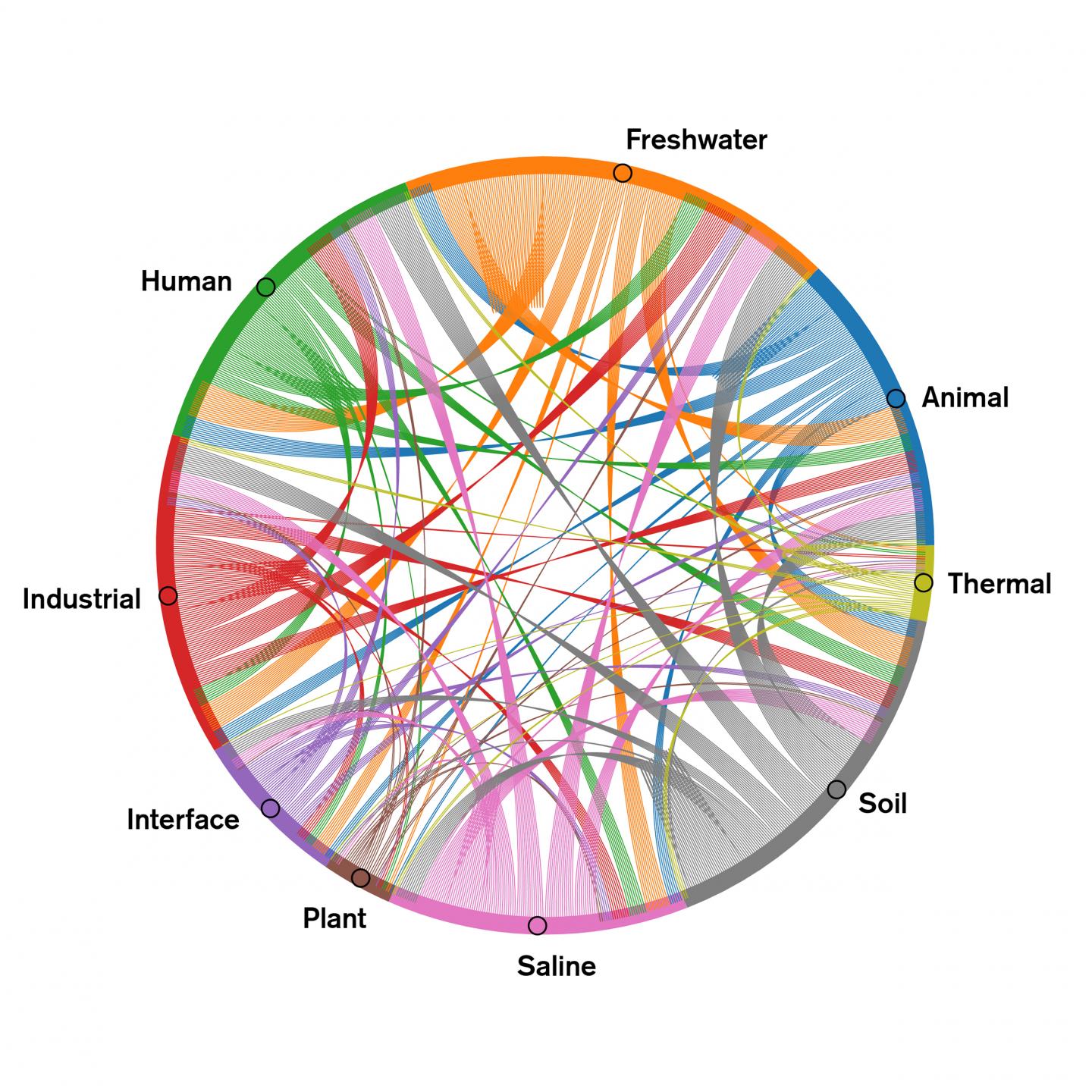 Hypothetical network between different environmental habitats