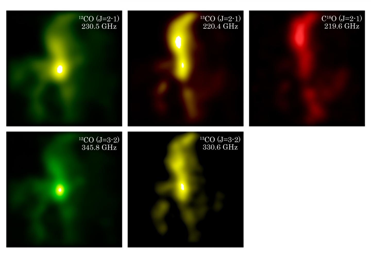 Distribution of CO isotopologues in the Orion molecular cloud