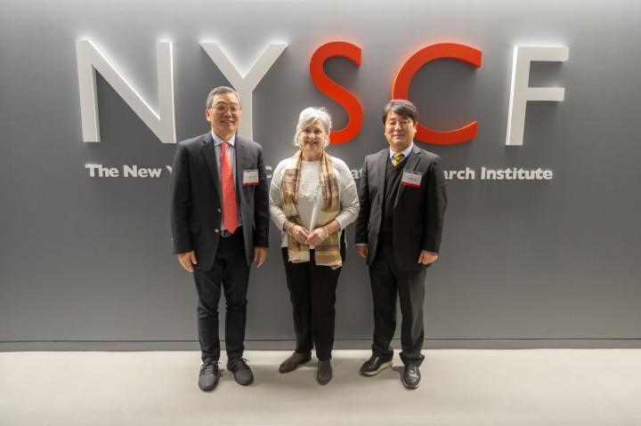 ToolGen/NYSCF/Ngene Meeting