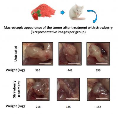 Strawberries Against Breast Cancer II