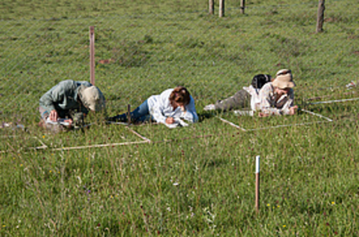 data collection Brazil