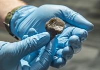 Zandmotor Neandertal Birch Tar-Hafted Tool