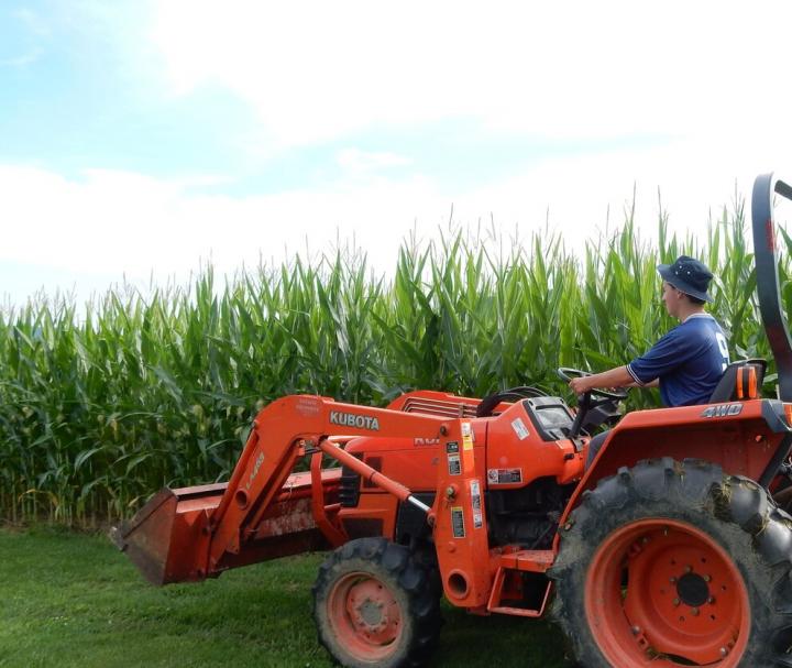 Tractor Boy