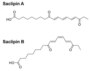 Chemical structures of saclipin A and saclipin B