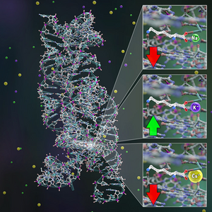 Nesbitt-Ionic Cooperativity Web