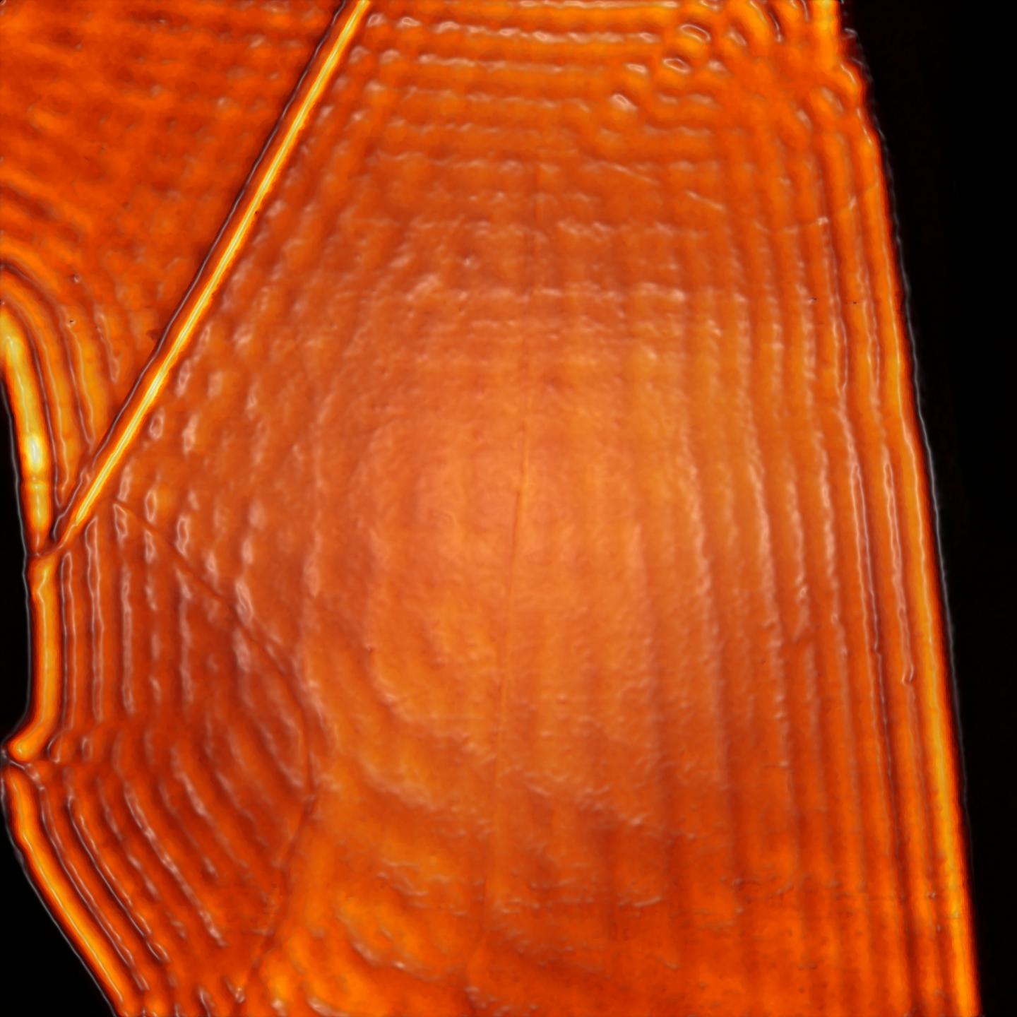 Hexagonal Boron Nitride -- Polaritons