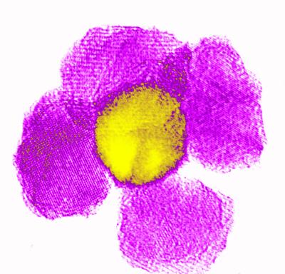 Innovative Nanoparticle Purification System Uses Magnetic Fields