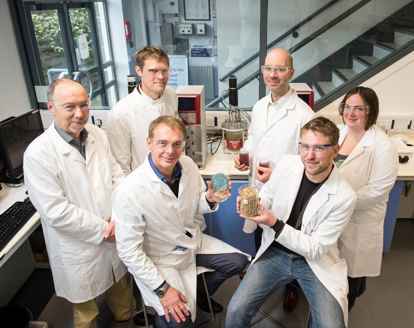 Research Team at the University of Bath
