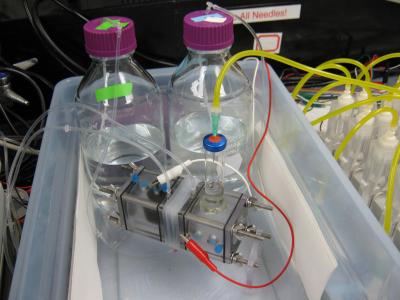 Electrolysis Cell