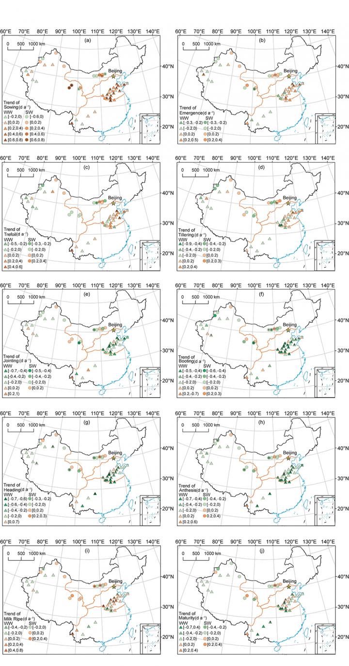 Trends of Wheat Phenological Stages