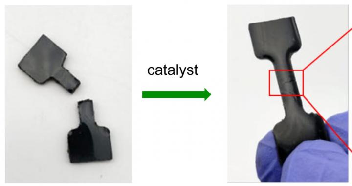 Diagram of the New Polymer