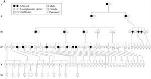 Fig 1. BGI Genomics CARS Mutation Causing Inherited Parkinson's