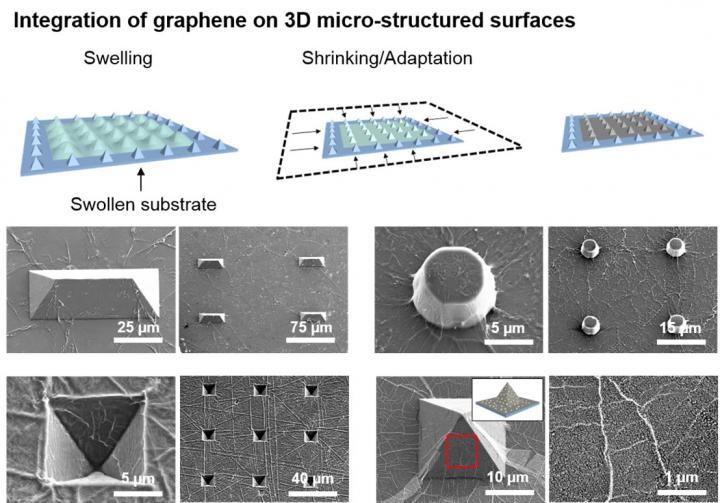 3-D Graphene