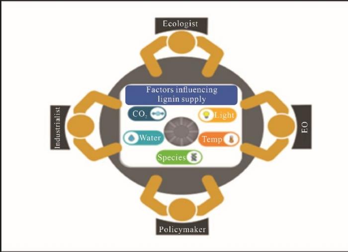 Environmental Impacts on Plant Cell Wall Lignification