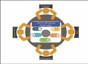 Environmental Impacts on Plant Cell Wall Lignification