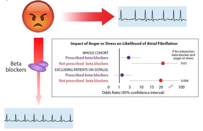 Beta Blockers Can Block the Effects of Stress and Anger in Patients Prone to Emotion-Triggered Atria