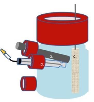 Briny Pool Bacteria Can Clean Up and Power Up (1 of 2)