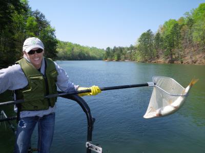 Mercury in Fish Tissue