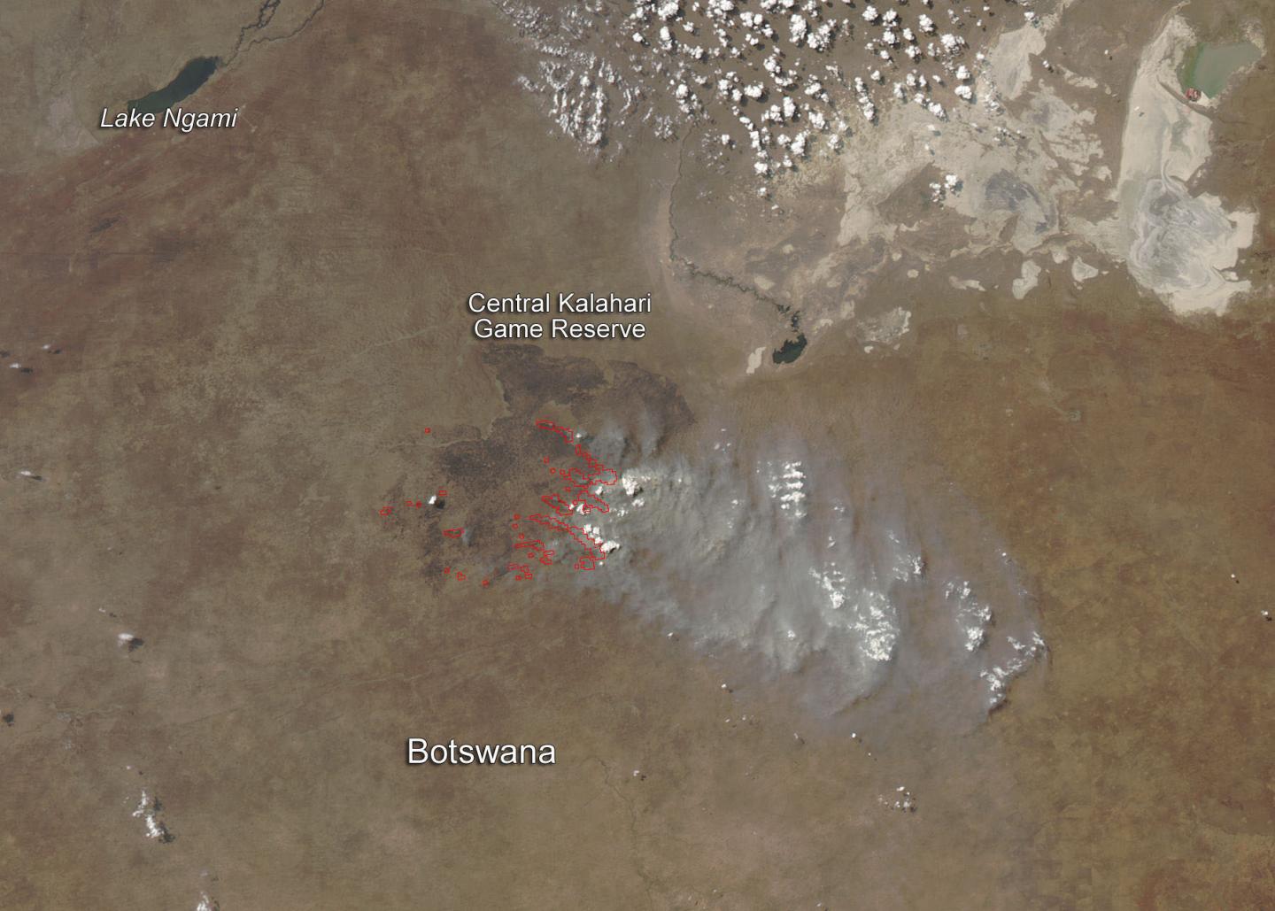 Wildfire in the Central Kalahari Game Reserve, Botswana