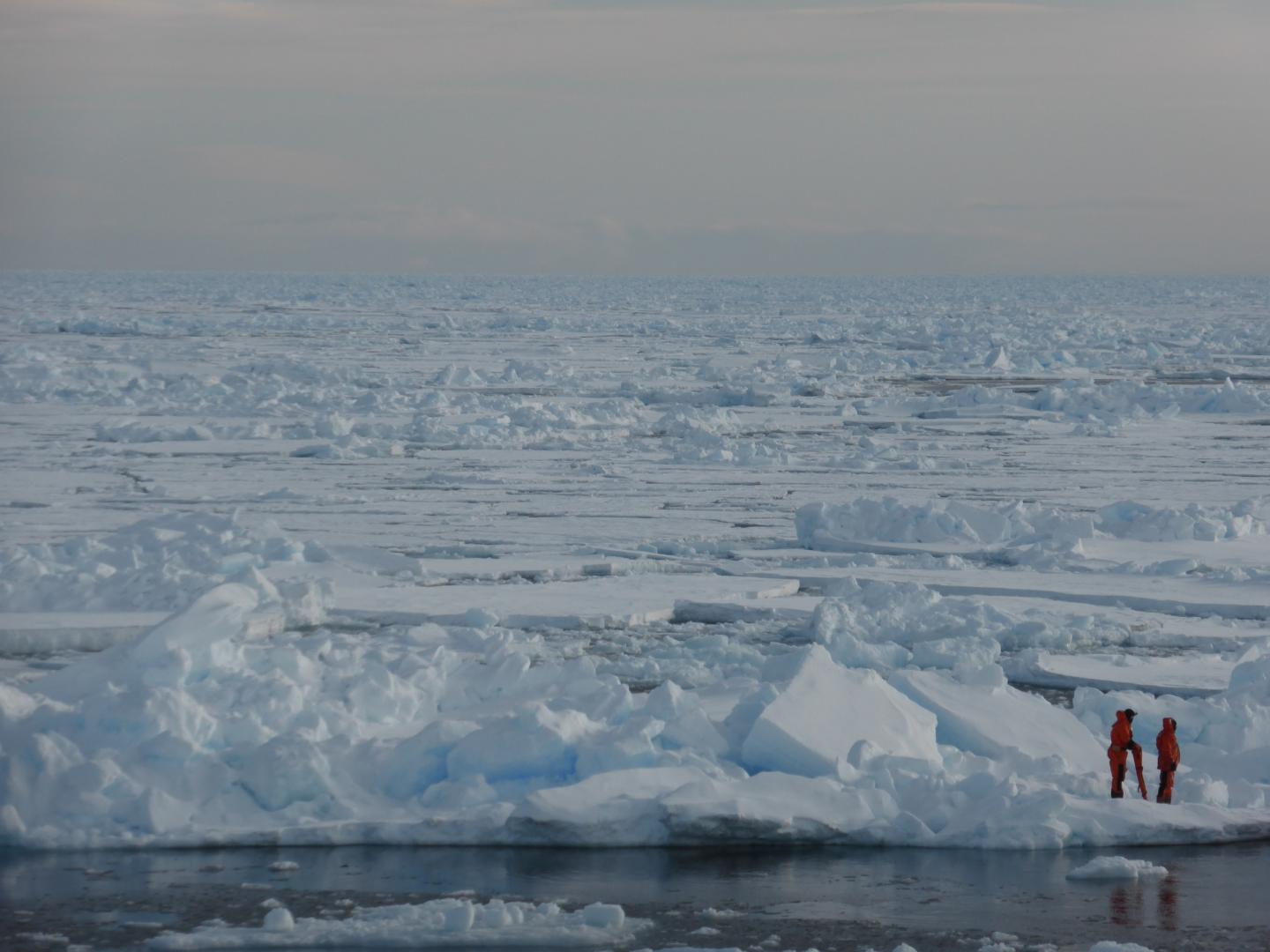 People Standing on Arctic Sea-Ice