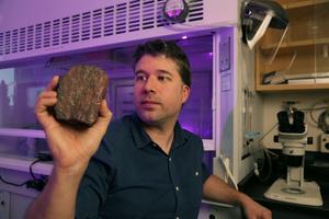 The search for the earliest traces of life on Earth