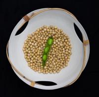 Soybean Genome in a Bowl