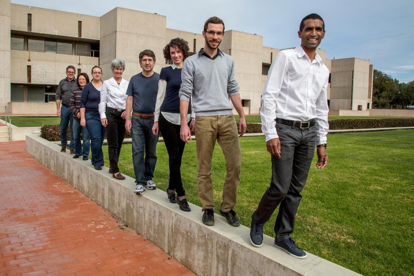 Salk Researchers